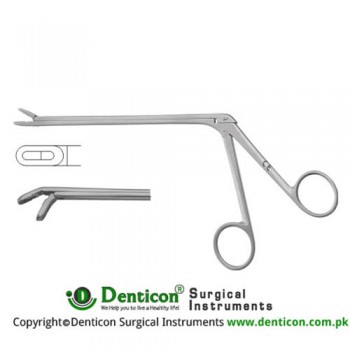 Leminectomy Rongeur Down - Fenestrated and Serrated Jaws Stainless Steel, 15.5 cm - 6" Bite Size 6 x 16 mm 